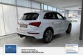 Daumennagel 19 - Audi Q5 2.0 TDI 140 kW quattro 2 Hand S Line