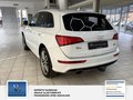 Daumennagel 7 - Audi Q5 2.0 TDI 140 kW quattro 2 Hand S Line