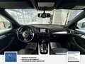 Daumennagel 9 - Audi Q5 2.0 TDI 140 kW quattro 2 Hand S Line