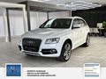 Daumennagel 1 - Audi Q5 2.0 TDI 140 kW quattro 2 Hand S Line