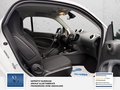 Daumennagel 15 - smart fortwo coupe 1 Hand Nur 13200km electric drive / EQ