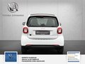 Daumennagel 10 - smart fortwo coupe 1 Hand Nur 13200km electric drive / EQ