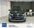 Daumennagel 3 - Kia Sorento Platinum Edition 4WD Mega Ausstattung 7 Sitzer Panorama 2 Hand