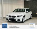 Daumennagel 2 - BMW 520 d xDrive 2 Hand. M-Sportpaket. Panorama. Alcantara