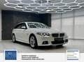 Daumennagel 6 - BMW 520 d xDrive 2 Hand. M-Sportpaket. Panorama. Alcantara