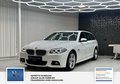 Daumennagel 8 - BMW 520 d xDrive 2 Hand. M-Sportpaket. Panorama. Alcantara
