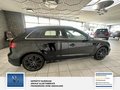 Daumennagel 9 - Audi A3 Sportback S Line. Sport.