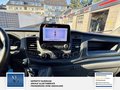 Daumennagel 18 - Ford Transit Kasten 310 L3 H2 Trend
