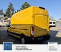 Daumennagel 7 - Ford Transit Kasten 310 L3 H2 Trend