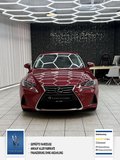 Daumennagel 10 - Lexus IS 300h 2 Hand.