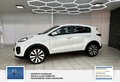 Daumennagel 14 - Kia Sportage Spirit 4WD