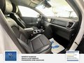 Daumennagel 21 - Kia Sportage Spirit 4WD