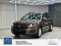 Thumbnail 8 - Volkswagen Tiguan Trend & Fun 4Motion Unfallfrei, Scheckheft, Navi, AHK, Rückfahrkam