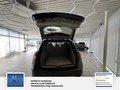 Daumennagel 17 - Porsche Cayenne Turbo Gepflegt, Leistungssteigerung . Memory