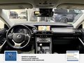 Daumennagel 17 - Lexus IS 300h Park-Assistent mit Rückfahrkamera. Scheckheft. 2 Hand.