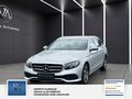 Daumennagel 11 - Mercedes-Benz E 200 AHK el. Rückfahrkamera