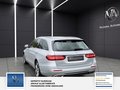 Daumennagel 12 - Mercedes-Benz E 200 AHK el. Rückfahrkamera