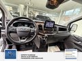 Daumennagel 18 - Ford Transit Custom Kasten 1 Hand Audiosystem 21: Radioempfang Digital DAB 280 L1 Trend
