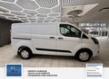 Daumennagel 25 - Ford Transit Custom Kasten 1 Hand Audiosystem 21: Radioempfang Digital DAB 280 L1 Trend