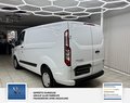 Daumennagel 28 - Ford Transit Custom Kasten 1 Hand Audiosystem 21: Radioempfang Digital DAB 280 L1 Trend