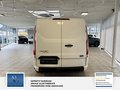 Daumennagel 9 - Ford Transit Custom Kasten 1 Hand Audiosystem 21: Radioempfang Digital DAB 280 L1 Trend