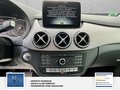 Daumennagel 13 - Mercedes-Benz B 200 2 Hand Sehr gepflegt