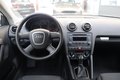 Daumennagel 6 - Audi A3 Sportback 1.9 TDI Attraction