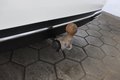Daumennagel 12 - Mercedes-Benz E 220 d Avantgarde COMAND MULTIBEAM AHK