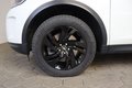 Daumennagel 10 - Land Rover Discovery Sport S AWD 2.0 TD4 LED 360CAM AHK
