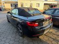 Daumennagel 3 - BMW 220 i Cabriolet XEN NAVI LEDER - Motorschaden!