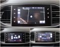 Daumennagel 15 - Peugeot 308 SW Business-Line 1.6 NAVI SHZ GRA