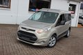 Daumennagel 17 - Ford Grand Tourneo Connect Trend 1.6 Aut Rollstuhl-Rampe