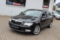 Daumennagel 7 - Skoda Superb Elegance 2,0 TDI DSG Leder=Navi=Xenon=Memory
