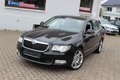 Daumennagel 8 - Skoda Superb Elegance 2,0 TDI DSG Leder=Navi=Xenon=Memory