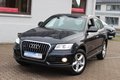 Daumennagel 1 - Audi Q5 2.0 TFSI quattro Xenon+Navi+Kamera+el.Panoramadach