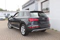 Daumennagel 19 - Audi Q5 50 TDI quattro sport S line Sportpaket Panoramadach