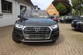 Daumennagel 33 - Audi Q5 50 TDI quattro sport S line Sportpaket Panoramadach