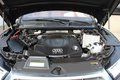 Daumennagel 34 - Audi Q5 50 TDI quattro sport S line Sportpaket Panoramadach