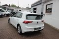Daumennagel 22 - Volkswagen Golf VIII 1.0 eTSI OPF Life DSG Scheinwerfer LED=NAVI