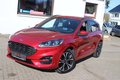 Daumennagel 17 - Ford Kuga ST-Line X 1.5 EcoBoost X LEDER=NAVI=LED Scheinwerfer