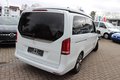 Daumennagel 29 - Mercedes-Benz V 300 d Marco Polo HORIZON EDITION e.HGSD=Bett