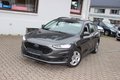 Daumennagel 14 - Ford Focus Turnier 1,5 EcoBlue Cool & Connect NEU MODELL