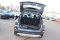 Daumennagel 14 - Ford Kuga Plug-In Hybrid Titanium 2.5 Duratec Aut Panora=