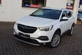 Daumennagel 11 - Opel Grandland Business Innovation 2.0 D LEDER=NAVI=LED
