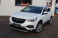 Daumennagel 12 - Opel Grandland Business Innovation 2.0 D LEDER=NAVI=LED
