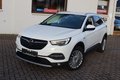 Daumennagel 14 - Opel Grandland Business Innovation 2.0 D LEDER=NAVI=LED