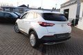 Daumennagel 17 - Opel Grandland Business Innovation 2.0 D LEDER=NAVI=LED