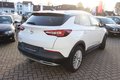 Daumennagel 19 - Opel Grandland Business Innovation 2.0 D LEDER=NAVI=LED