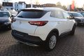 Daumennagel 20 - Opel Grandland Business Innovation 2.0 D LEDER=NAVI=LED
