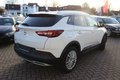 Daumennagel 21 - Opel Grandland Business Innovation 2.0 D LEDER=NAVI=LED